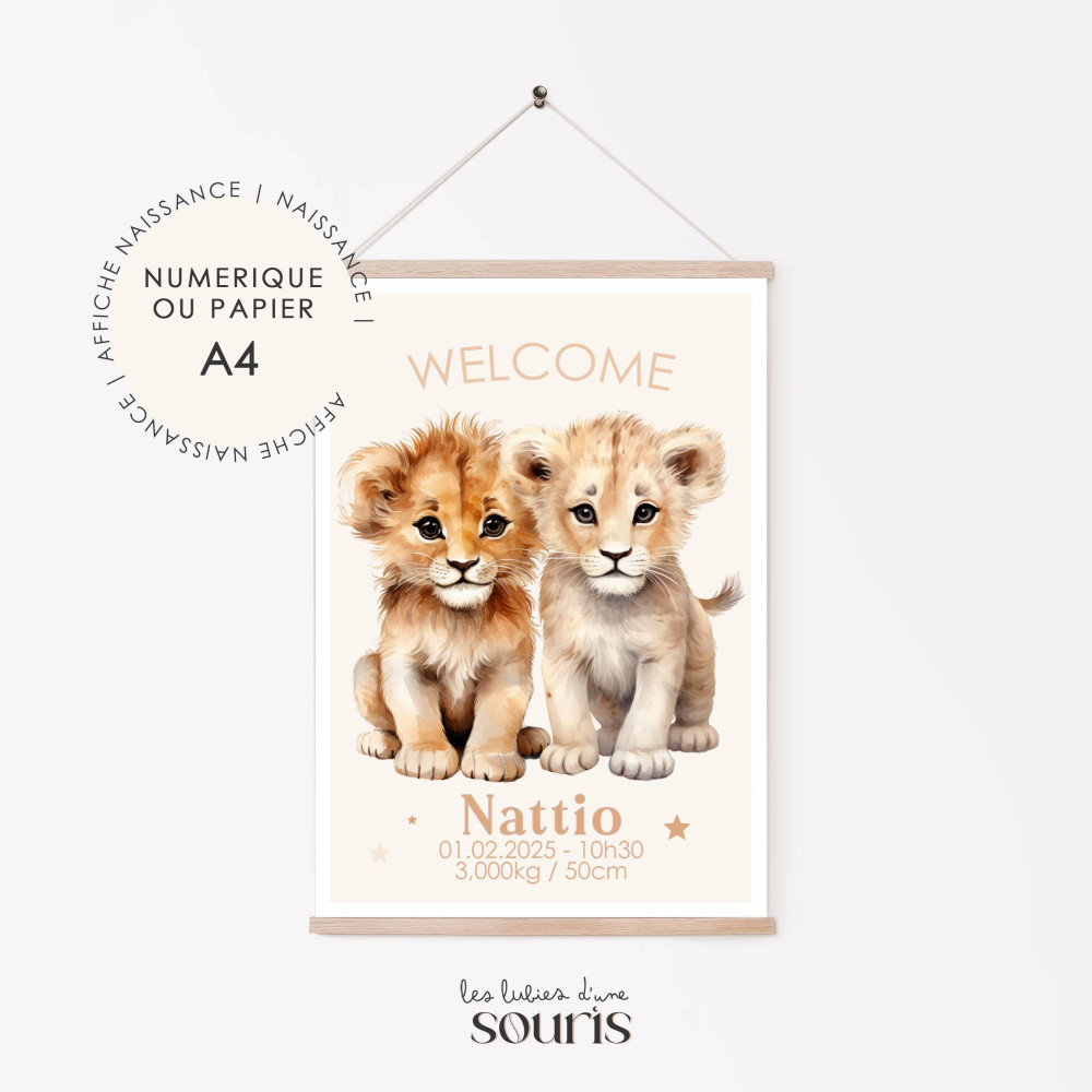 Affiche naissance